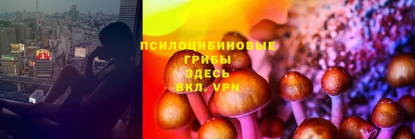 спиды Липки