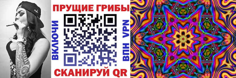 купить наркотик  Туран  Галлюциногенные грибы GOLDEN TEACHER 